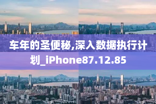 车年的圣便秘,深入数据执行计划_iPhone87.12.85