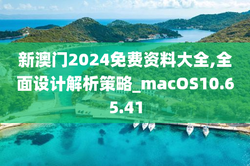 新澳门2024免费资料大全,全面设计解析策略_macOS10.65.41