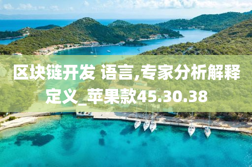 区块链开发 语言,专家分析解释定义_苹果款45.30.38