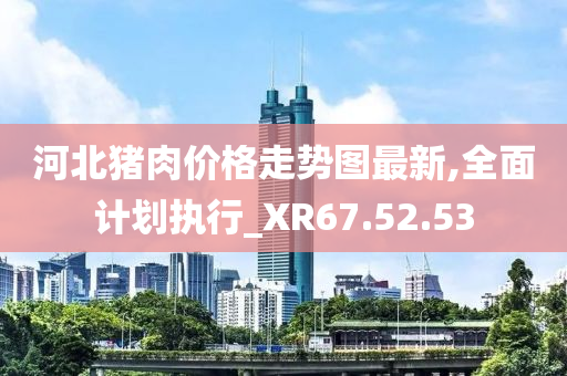 河北猪肉价格走势图最新,全面计划执行_XR67.52.53