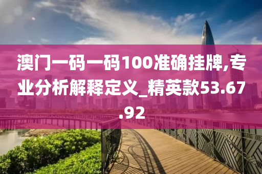 澳门一码一码100准确挂牌,专业分析解释定义_精英款53.67.92