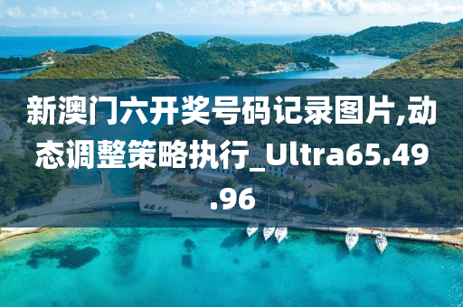 新澳门六开奖号码记录图片,动态调整策略执行_Ultra65.49.96