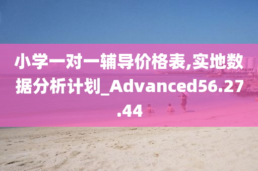 小学一对一辅导价格表,实地数据分析计划_Advanced56.27.44