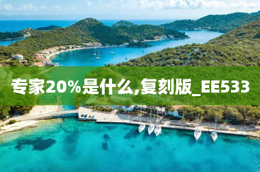 专家20%是什么,复刻版_EE533