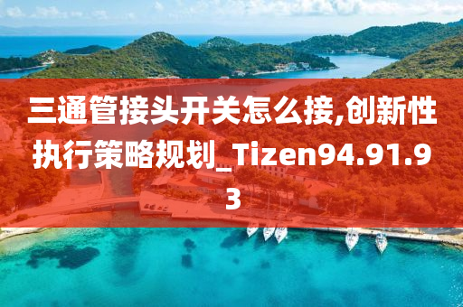 三通管接头开关怎么接,创新性执行策略规划_Tizen94.91.93