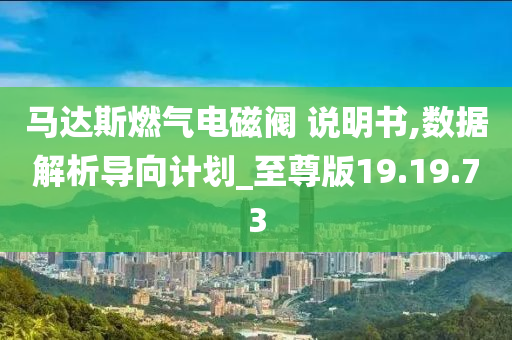 马达斯燃气电磁阀 说明书,数据解析导向计划_至尊版19.19.73