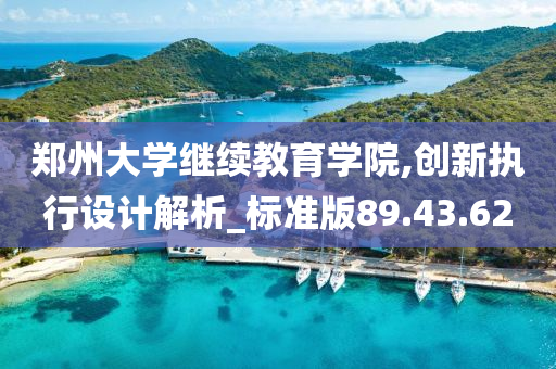 郑州大学继续教育学院,创新执行设计解析_标准版89.43.62