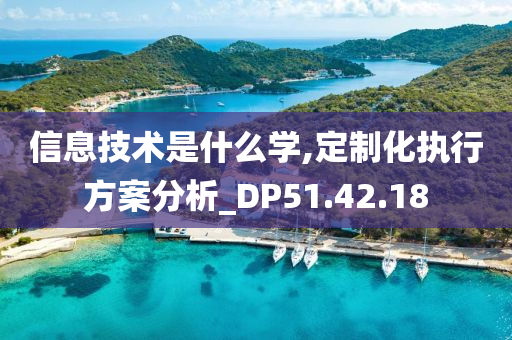 信息技术是什么学,定制化执行方案分析_DP51.42.18