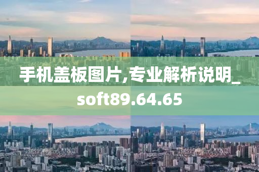 手机盖板图片,专业解析说明_soft89.64.65