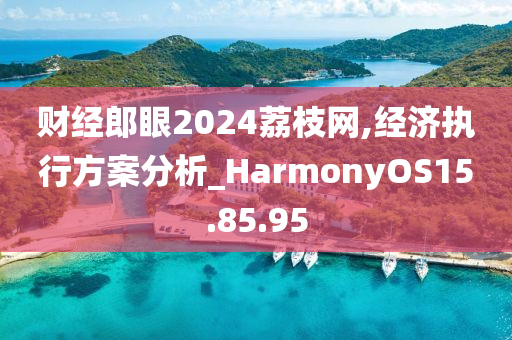 财经郎眼2024荔枝网,经济执行方案分析_HarmonyOS15.85.95