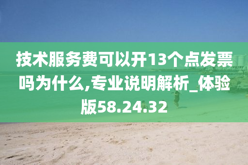 技术服务费可以开13个点发票吗为什么,专业说明解析_体验版58.24.32