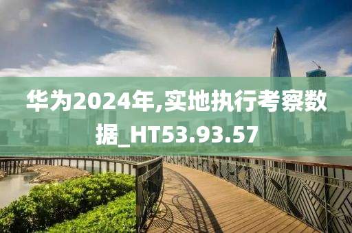 华为2024年,实地执行考察数据_HT53.93.57