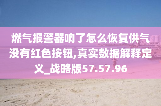 燃气报警器响了怎么恢复供气没有红色按钮,真实数据解释定义_战略版57.57.96