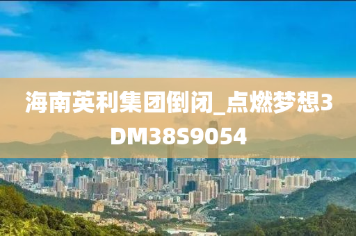 海南英利集团倒闭_点燃梦想3DM38S9054