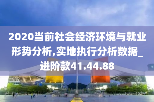 2020当前社会经济环境与就业形势分析,实地执行分析数据_进阶款41.44.88