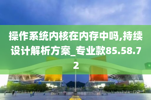 操作系统内核在内存中吗,持续设计解析方案_专业款85.58.72