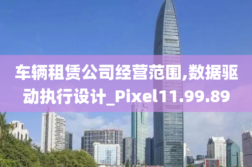 车辆租赁公司经营范围,数据驱动执行设计_Pixel11.99.89