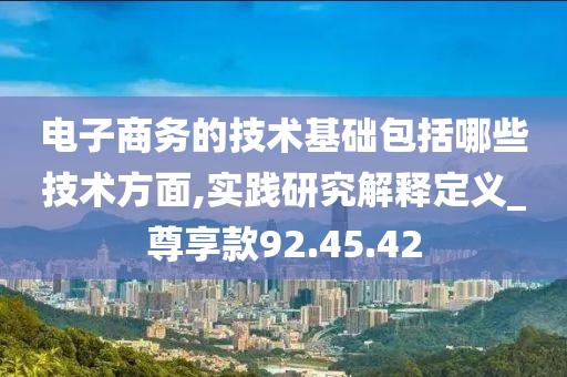 电子商务的技术基础包括哪些技术方面,实践研究解释定义_尊享款92.45.42