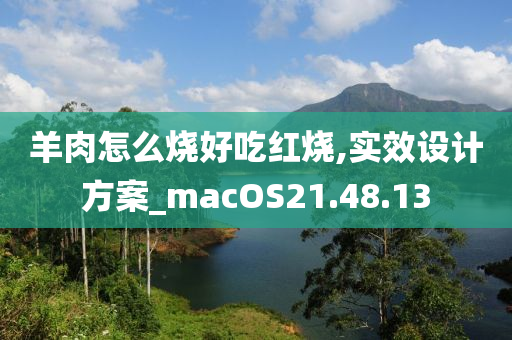 羊肉怎么烧好吃红烧,实效设计方案_macOS21.48.13