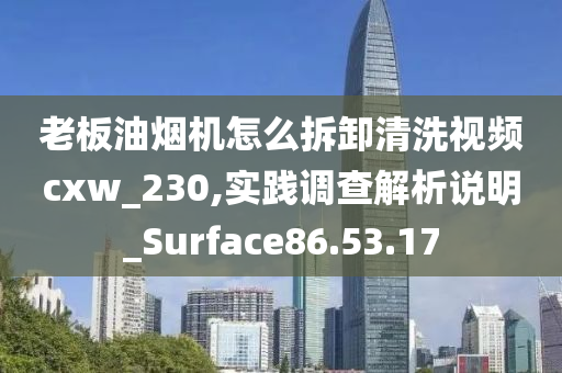 老板油烟机怎么拆卸清洗视频cxw_230,实践调查解析说明_Surface86.53.17