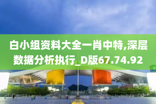 白小组资料大全一肖中特,深层数据分析执行_D版67.74.92