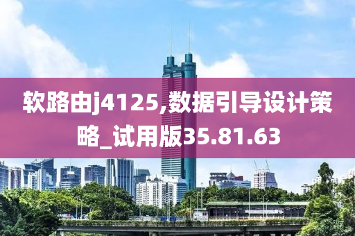 软路由j4125,数据引导设计策略_试用版35.81.63