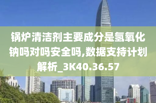 锅炉清洁剂主要成分是氢氧化钠吗对吗安全吗,数据支持计划解析_3K40.36.57