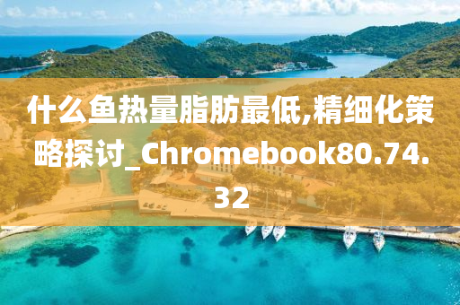 什么鱼热量脂肪最低,精细化策略探讨_Chromebook80.74.32