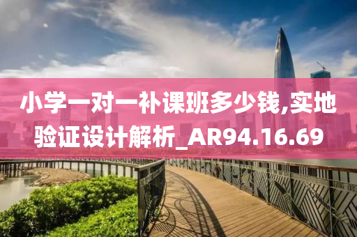 小学一对一补课班多少钱,实地验证设计解析_AR94.16.69