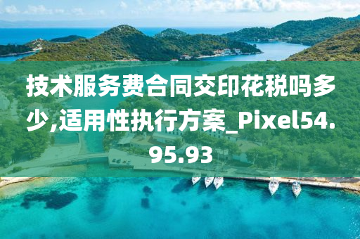 技术服务费合同交印花税吗多少,适用性执行方案_Pixel54.95.93