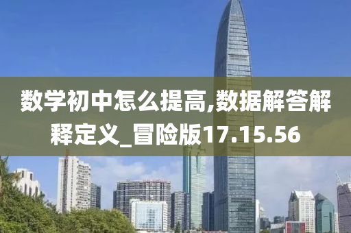 数学初中怎么提高,数据解答解释定义_冒险版17.15.56