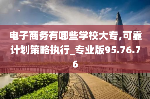 电子商务有哪些学校大专,可靠计划策略执行_专业版95.76.76