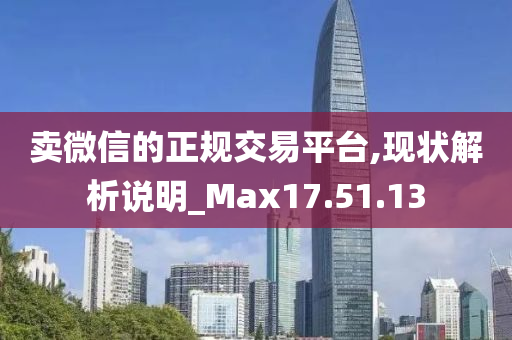 卖微信的正规交易平台,现状解析说明_Max17.51.13