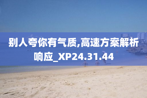 别人夸你有气质,高速方案解析响应_XP24.31.44