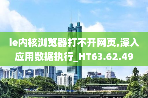 ie内核浏览器打不开网页,深入应用数据执行_HT63.62.49