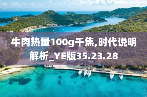 牛肉热量100g千焦,时代说明解析_YE版35.23.28