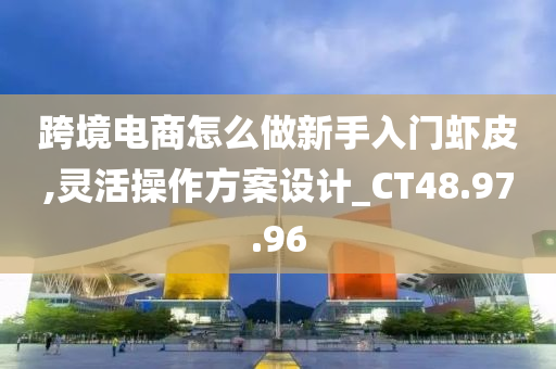 跨境电商怎么做新手入门虾皮,灵活操作方案设计_CT48.97.96