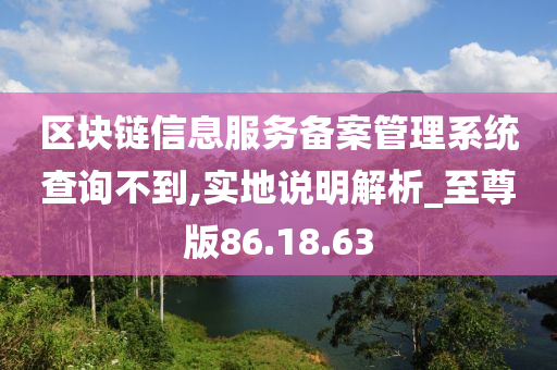 区块链信息服务备案管理系统查询不到,实地说明解析_至尊版86.18.63