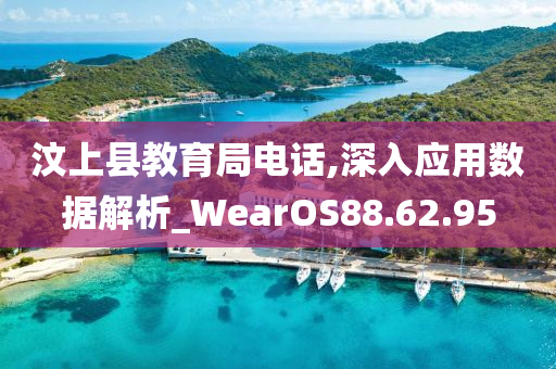 汶上县教育局电话,深入应用数据解析_WearOS88.62.95