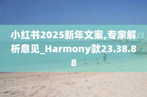 小红书2025新年文案,专家解析意见_Harmony款23.38.88