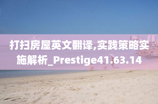 打扫房屋英文翻译,实践策略实施解析_Prestige41.63.14