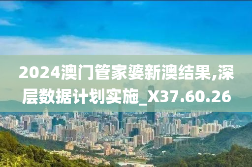 2024澳门管家婆新澳结果,深层数据计划实施_X37.60.26