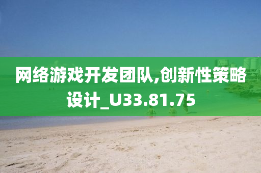 网络游戏开发团队,创新性策略设计_U33.81.75