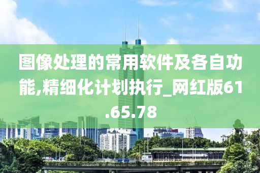 图像处理的常用软件及各自功能,精细化计划执行_网红版61.65.78