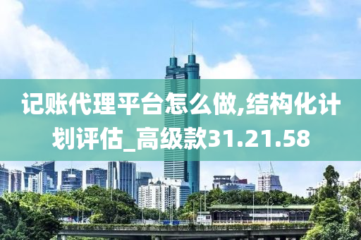 记账代理平台怎么做,结构化计划评估_高级款31.21.58