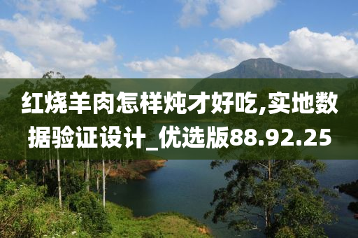 红烧羊肉怎样炖才好吃,实地数据验证设计_优选版88.92.25