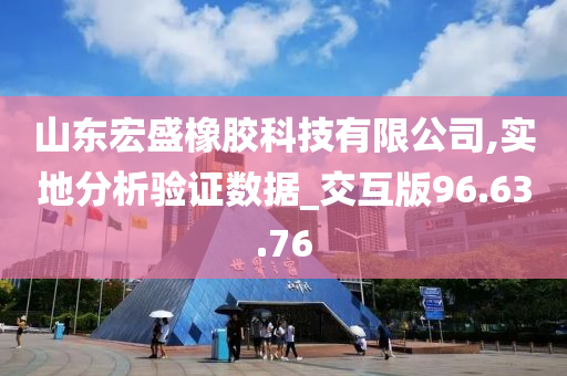 山东宏盛橡胶科技有限公司,实地分析验证数据_交互版96.63.76