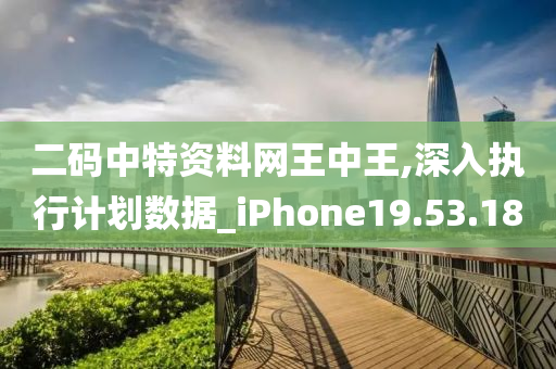 二码中特资料网王中王,深入执行计划数据_iPhone19.53.18