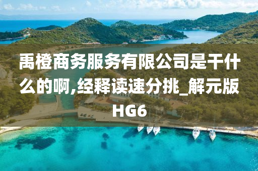 禹橙商务服务有限公司是干什么的啊,经释读速分挑_解元版HG6