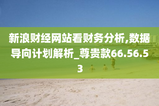 新浪财经网站看财务分析,数据导向计划解析_尊贵款66.56.53